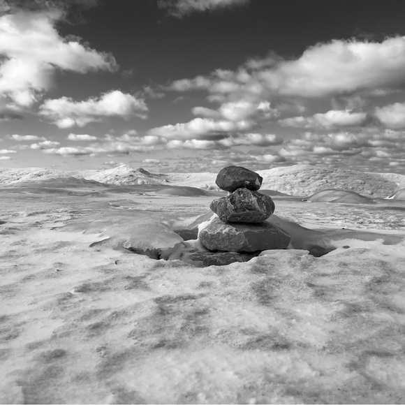 Meet your Posher, Mick - Picture 3 of 4